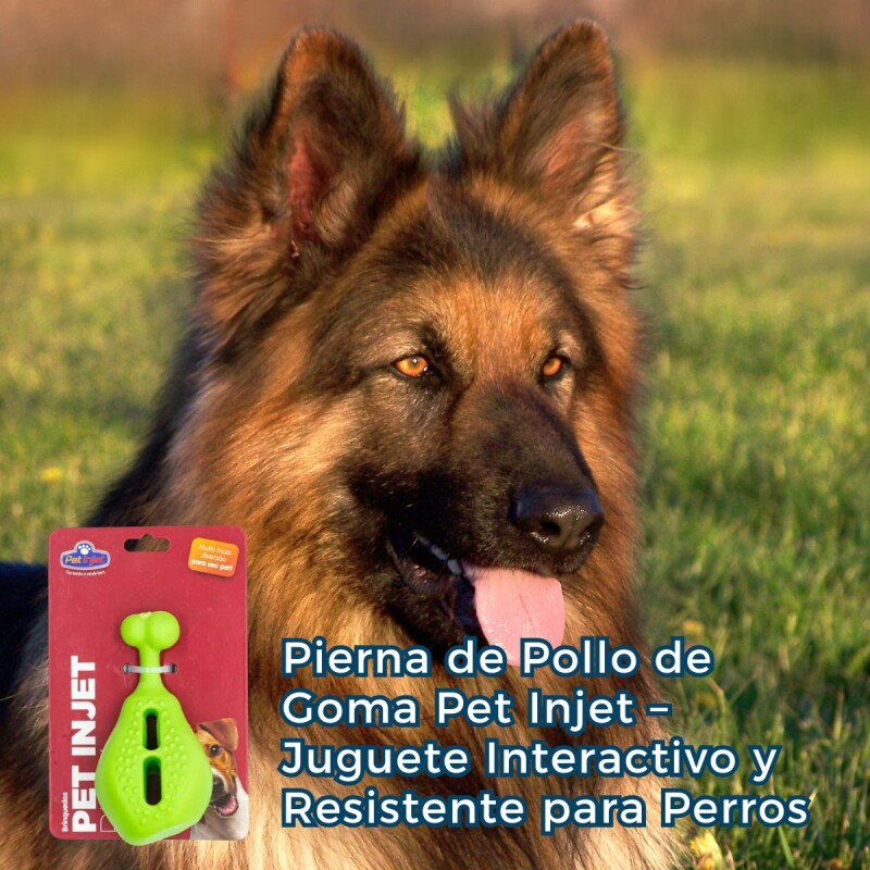 JUGUETE MACIZO PATA DE POLLO JUGUETE MACIZO PATA DE POLLO