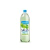 SALUS FRUTTE CERO 1.5 MANZANA Salus Frutte Cero 1.5 Manzana