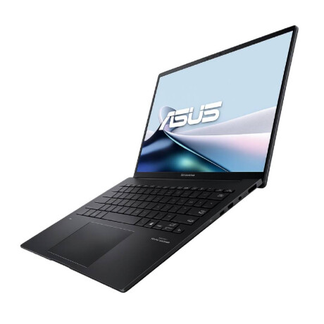 Notebook Asus Zenbook Ryzen 7 16gb/1tb(14/W11 Black