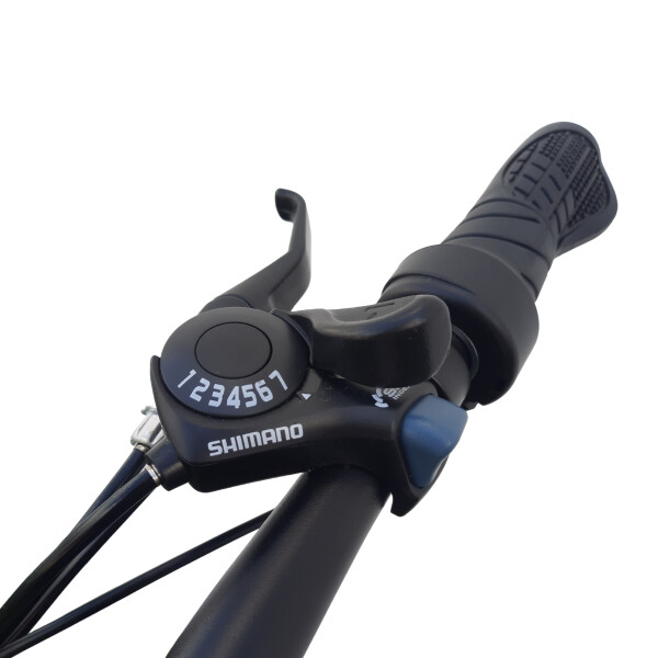 Bicicleta Electrica Gogreen Compact Pro Plegabl R20 350W 48V Variante Color Negro