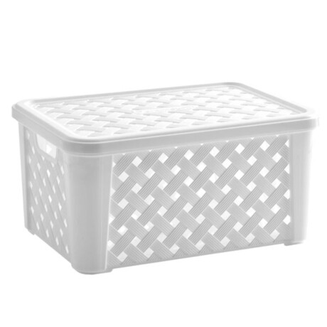 Caja Canasto Organizador Rattan c/ Tapa Paramount 51x35x21Cm Blanco