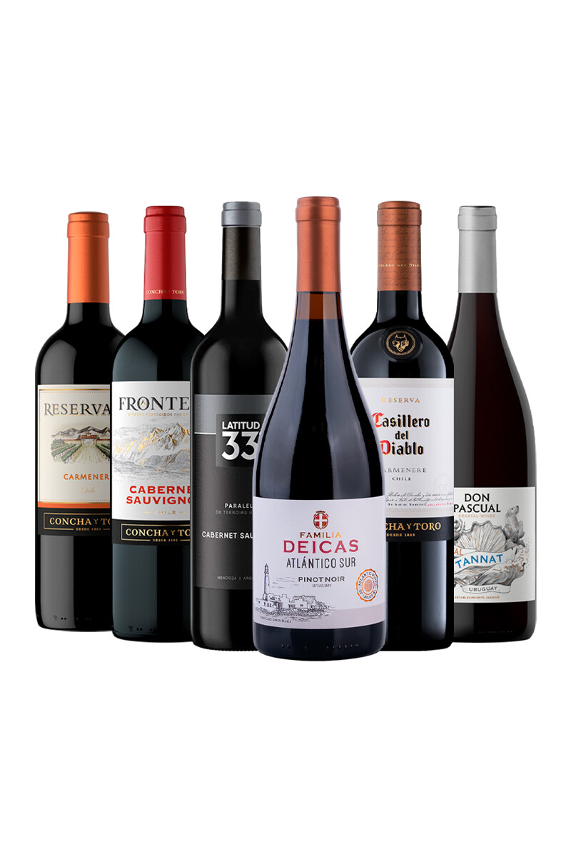 Pack Bacán Selección Entre Estilos x6 vinos Carácter en Equilibrio 