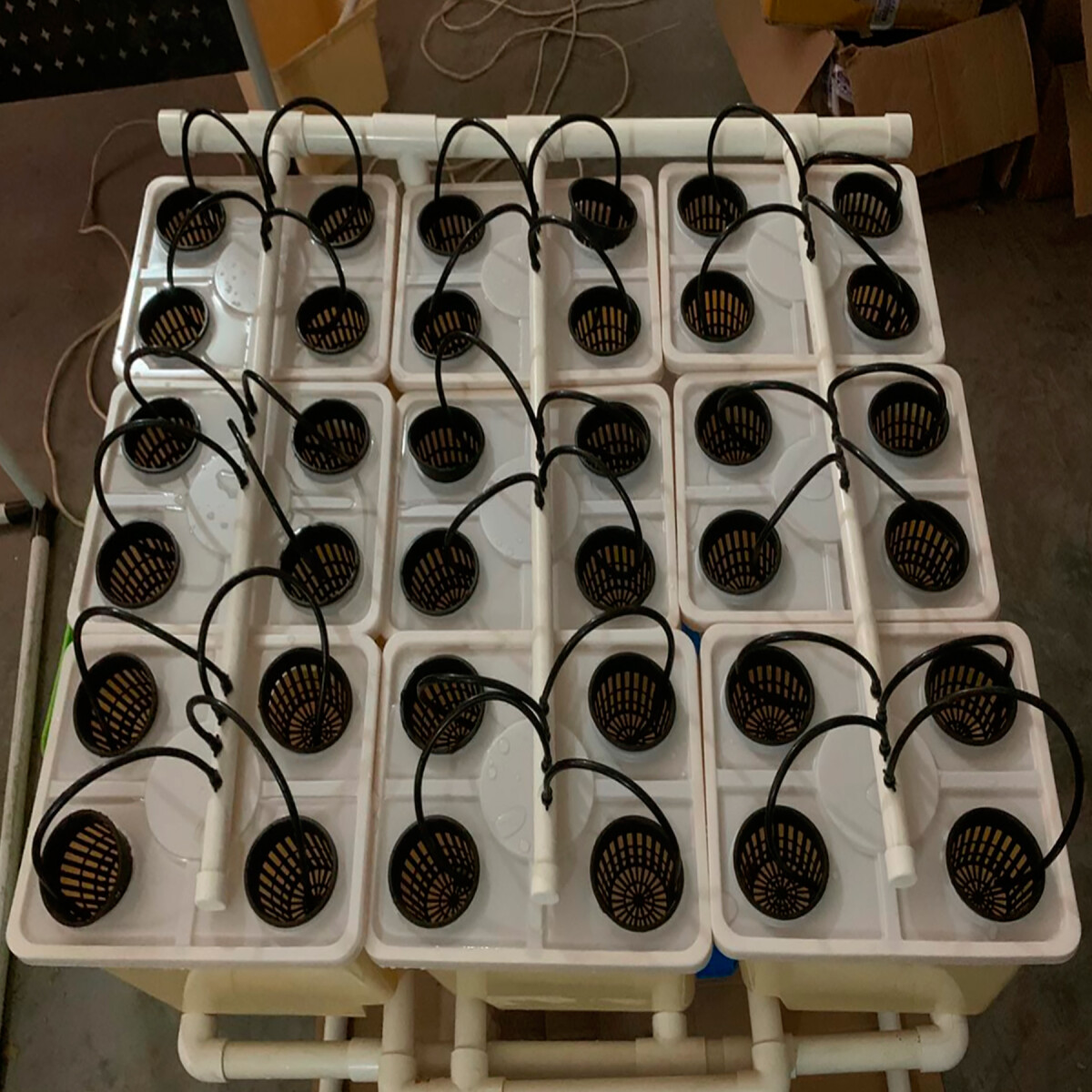 Lyine - Sistema Hidropónico de Tomate - 9 Cubos Holandeses. - 001 