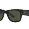 Ray-Ban 0840S Black