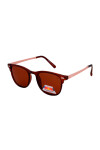 LENTES DE SOL WAYFARER BROWN LENTES DE SOL WAYFARER BROWN