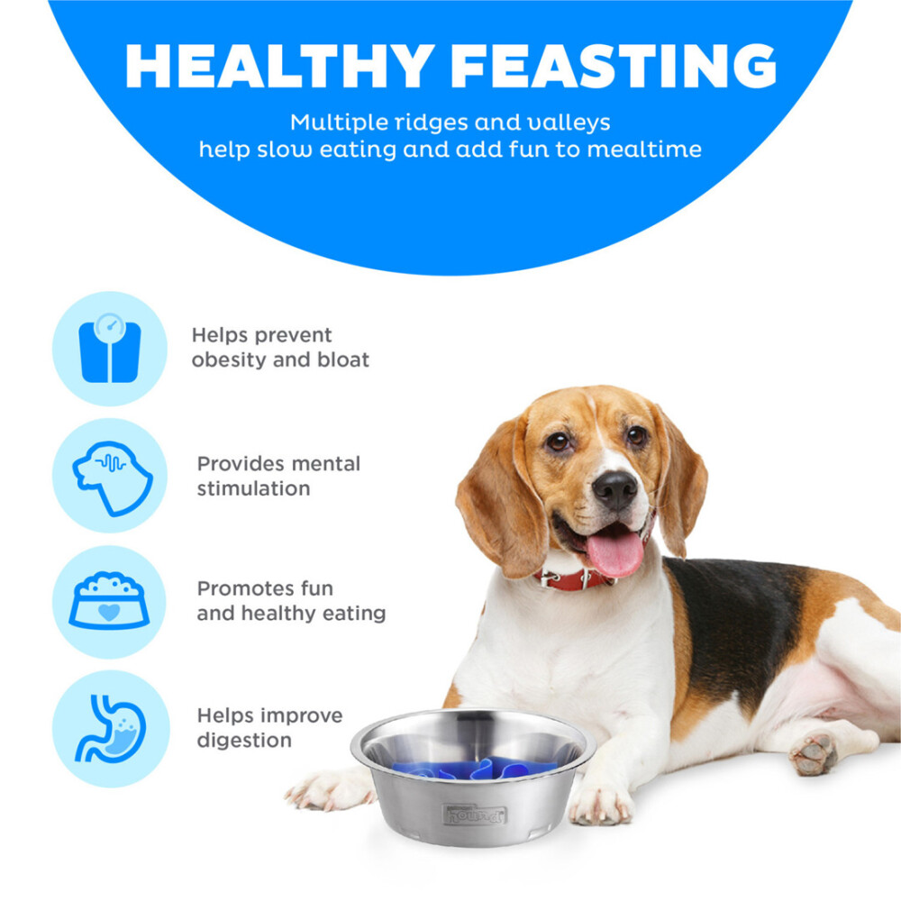 PLATO DE COMIDA EN ACERO INOXIDABLE FUN FEEDER N/A
