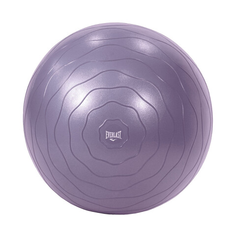 BOLA DE EJERCICIO EVERLAST 55CM 0