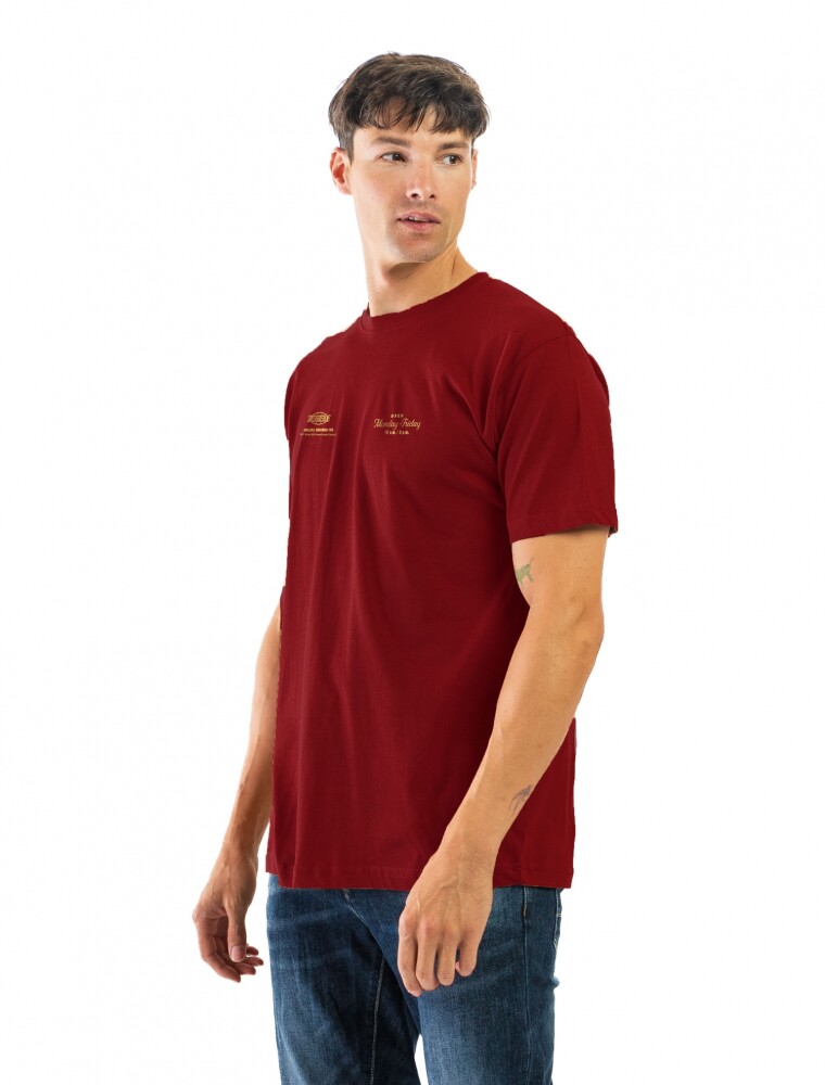 Remera Estampada Cuello Base Bordo/ Ciudades 022