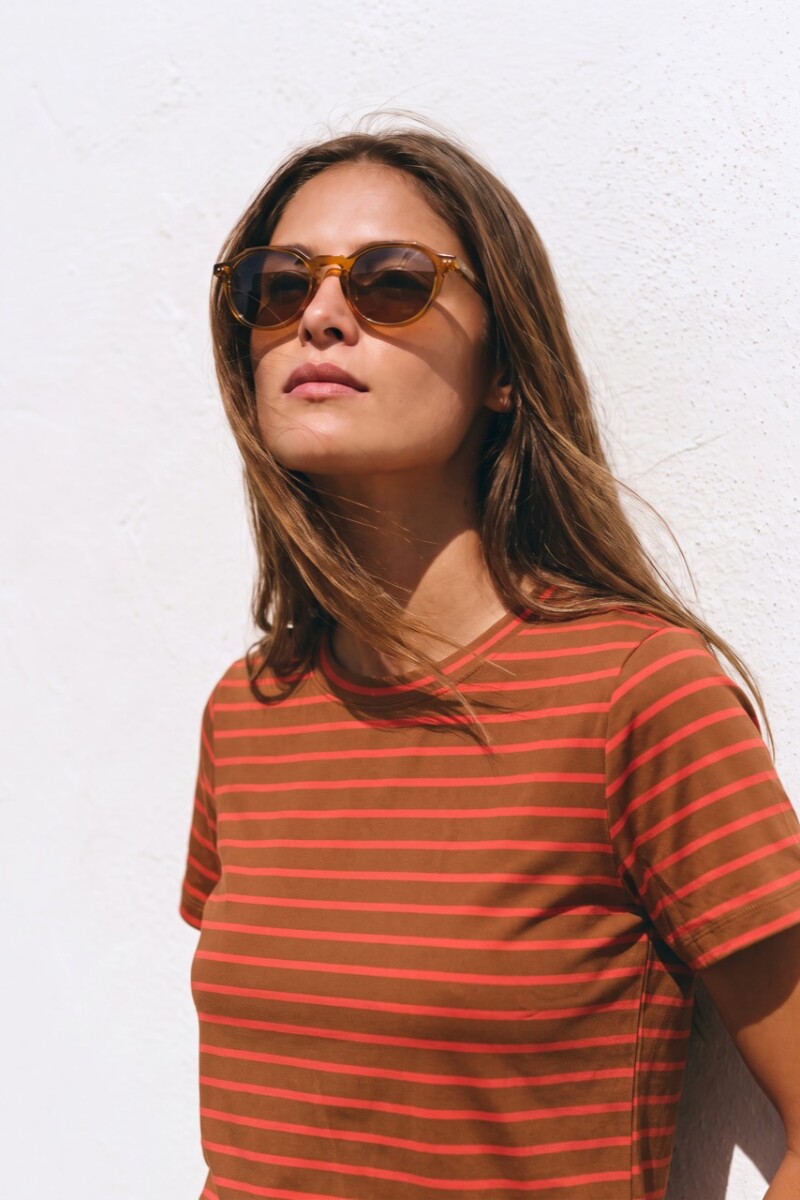 Remera Rayada Multi