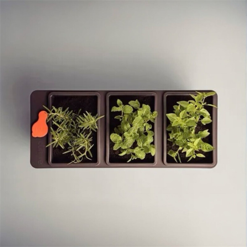 Macetero autorregable Macetero autorregable