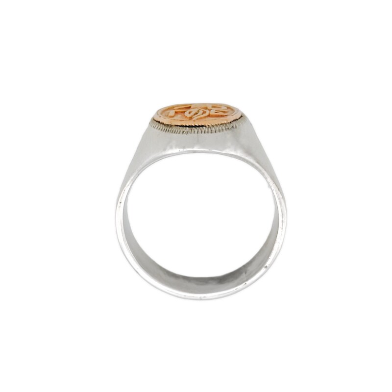 Anillo Profesión Nurse-Plata y Oro-Sin Piedra-AP5008 - Adulto - Sinpiedra