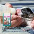 PET MILK SUSTITUTO LECHE MATERNA DE 100 GRAMOS PET MILK SUSTITUTO LECHE MATERNA DE 100 GRAMOS