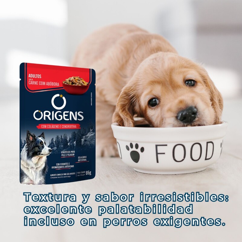 SALSA ORIGENS PERRO ADULTO 85 GR CARNE CON CALABAZA
