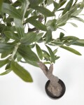 Planta artificial Olivo con maceta negro 140 cm Planta artificial Olivo con maceta negro 140 cm