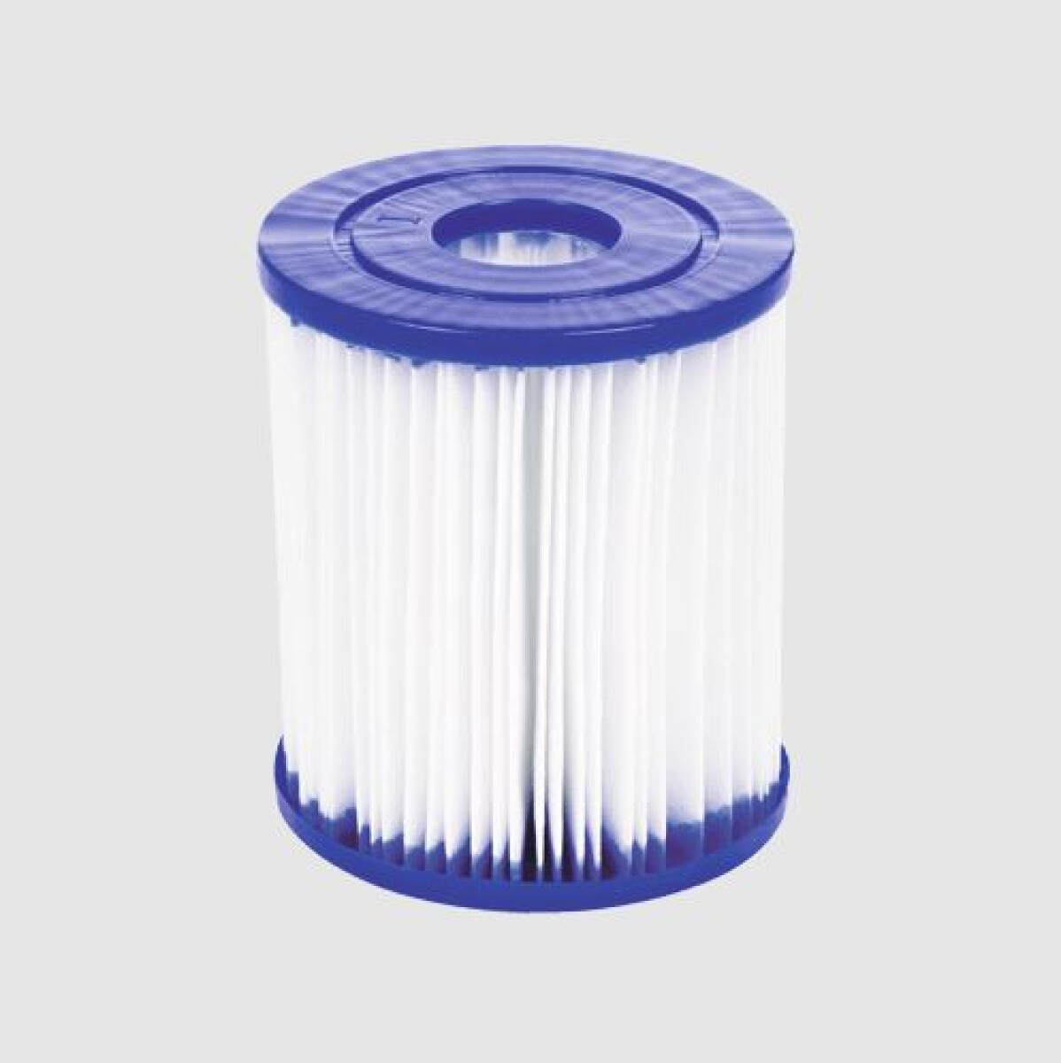 Filtro Clase I 1249Lt/H Bestway 