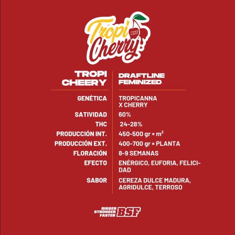 FEM - TROPICHERRY COLECCIÓN X4
