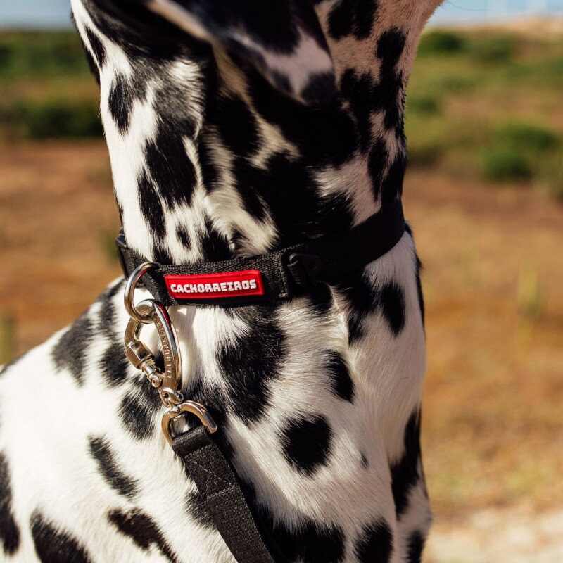 Correa Cachorreiros Black Talle S-P