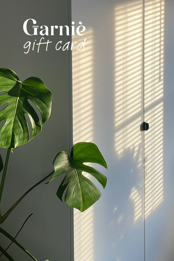 Gift Card Gift Card