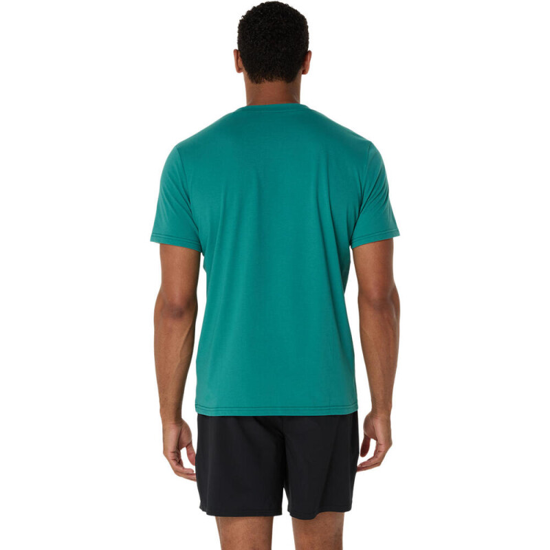 Polo Training Graphic Tee Hombre Rainy Lake