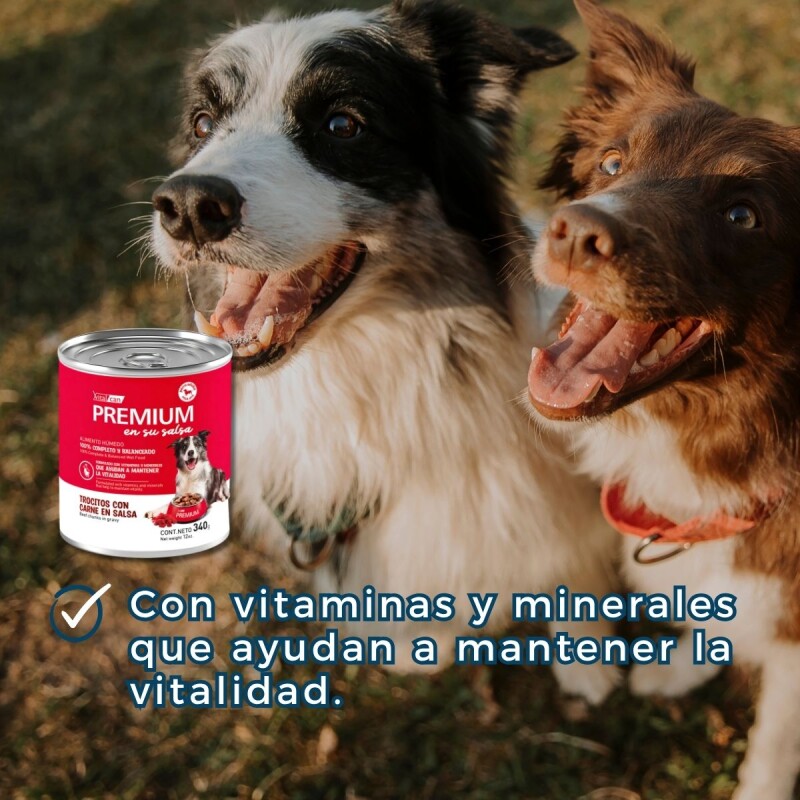 PREMIUM SALSA PATÉ PERRO ADULTO CARNE 340 GR PREMIUM SALSA PATÉ PERRO ADULTO CARNE 340 GR