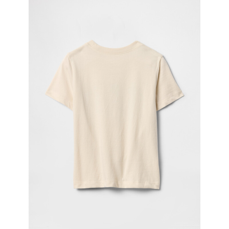 V-DISLOGO FAM SS GR SP DIS FAM CHINO