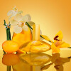 Calvin Klein Euphoria Solar Elixir Parfum 100ml Calvin Klein Euphoria Solar Elixir Parfum 100ml
