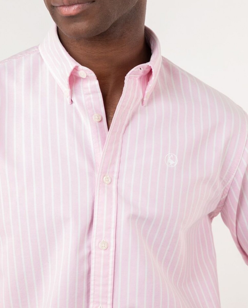 Camisa Oxford El Ganso - Raya Butcher Rosada 