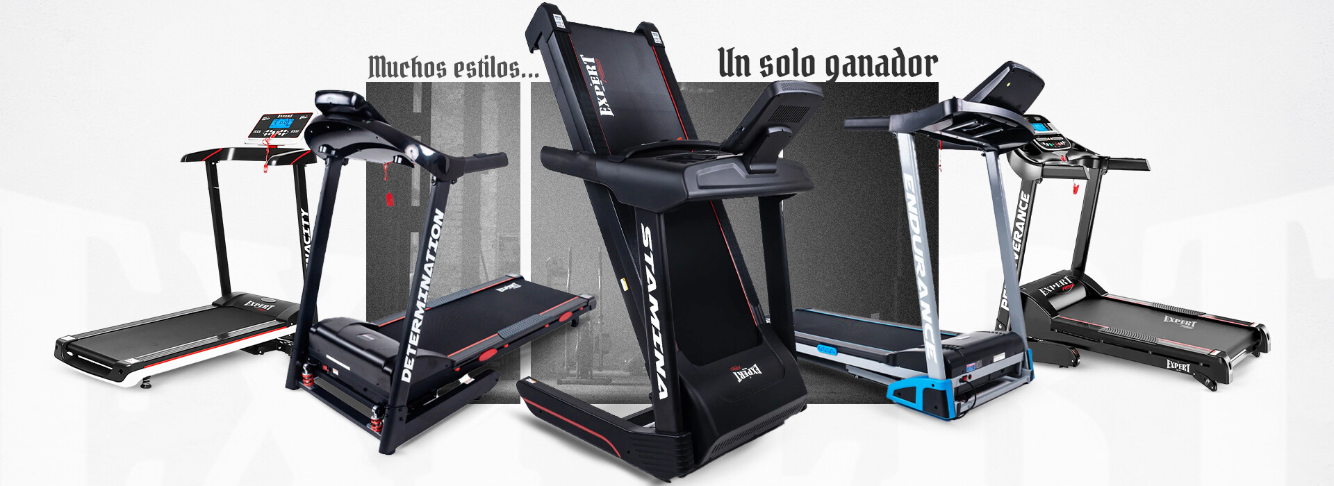 Expert Fitness