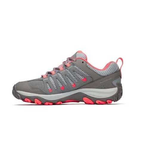 CHAMPION 6-10 MONUM/CORA