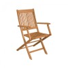 Silla Plegable con apoyabrazos Eucalipto - Ipanema Jatobá