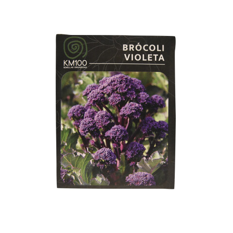 Semillas autocultivo de brocoli violeta KM100 Semillas De Brocoli Violeta