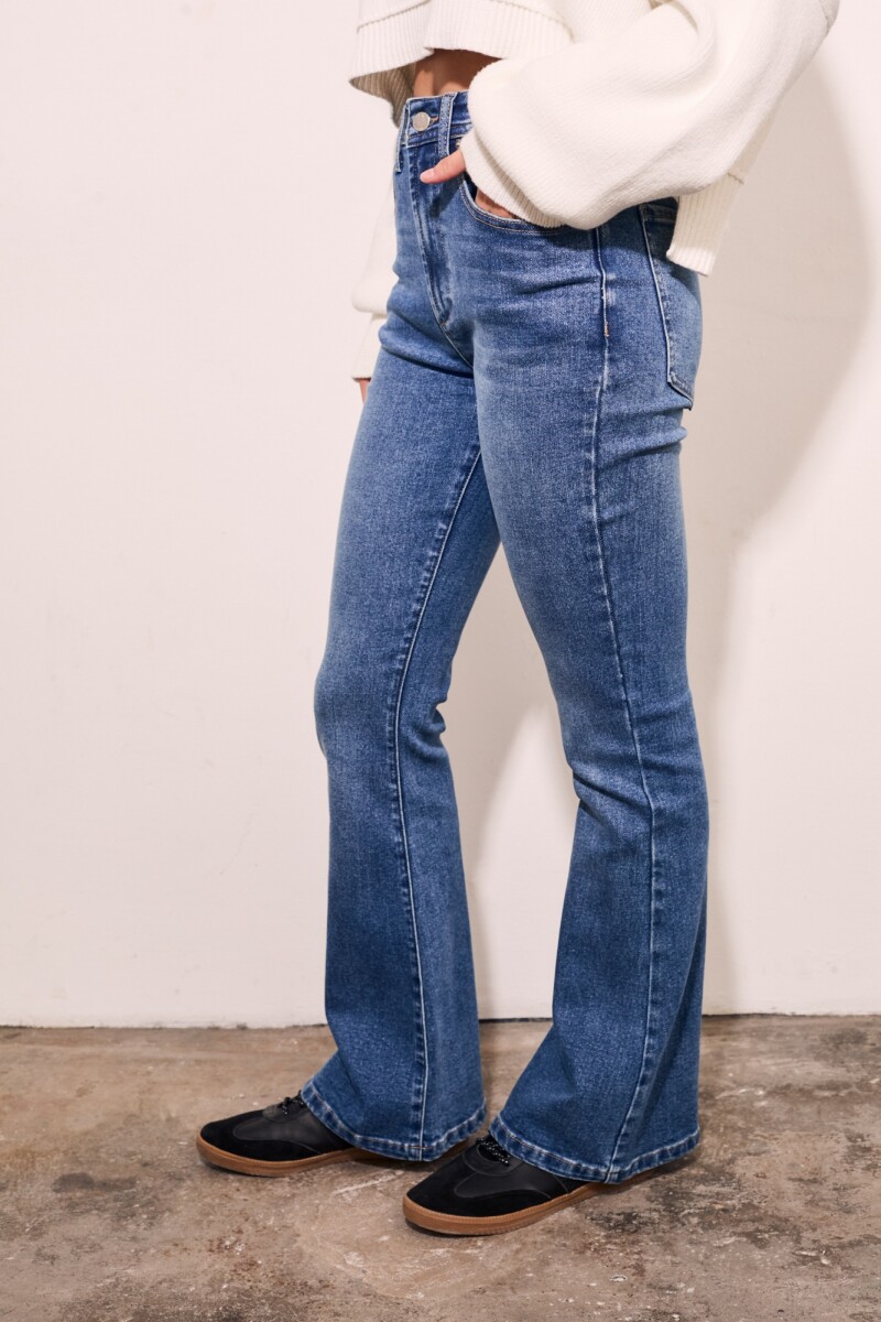 Jean Flare Jean