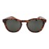 Lentes de Sol Chilli Beans Dallas Animal Print