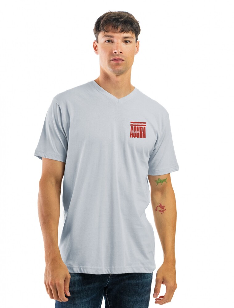 Remera Algodón Estampada Cuello V Celeste y Rojo