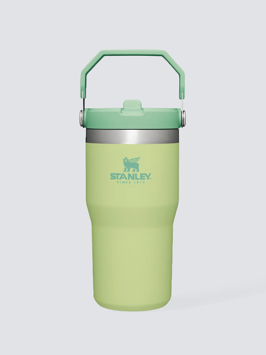 Stanley Flip Straw Tumbler 20 OZ - Verde Claro 