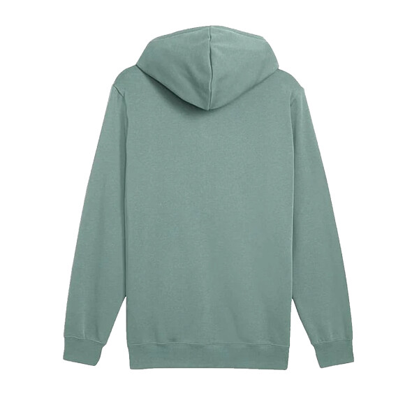 ESS COLOR LOGO HOODIE FL - PUMA VERDE