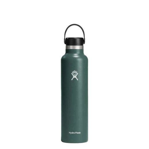 Botella Hydro Flask 21 OZ Standard Mouth - Verde Botella Hydro Flask 21 OZ Standard Mouth - Verde