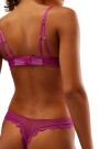 Colaless Mid Week Rosa