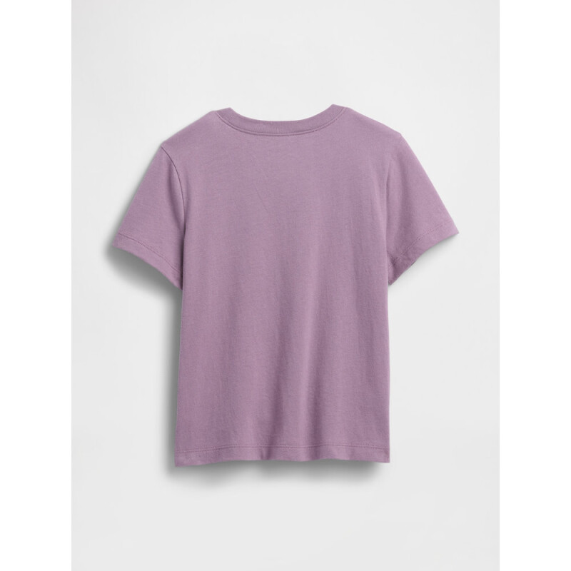 V-DISLOGO TEE SP DIS FAM AMETHYST2