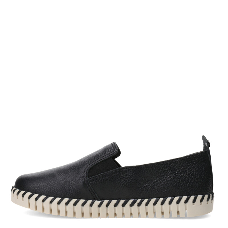 Zapato de Mujer Bottero Lobb Negro