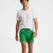 Short Terrier Menta