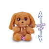 Perro Cachorro Baby Paws Cocker