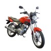 Moto Vince Calle One 125cc Rojo