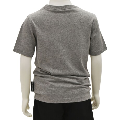Remera Infantil Reebok B Es Dt Tee Deportiva Urbana Casual Gris