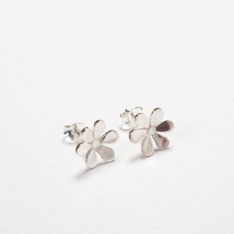 CANRAVAN FLORES CANRAVAN FLORES