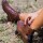 Saddle Boots Marrón