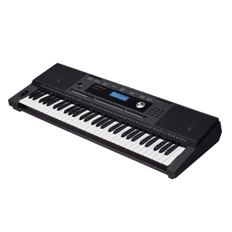 órgano Roland E-x20a órgano Roland E-x20a