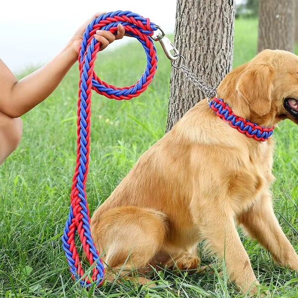 Correa Collar Reforzado Perros Semi Ahorque Cuerda Trenzada Variante Color Rojo y Azul