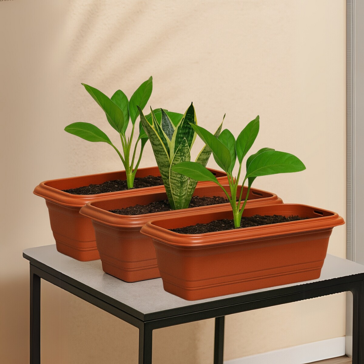 Set x3 Maceta rectangular 3 lts - MARRON 