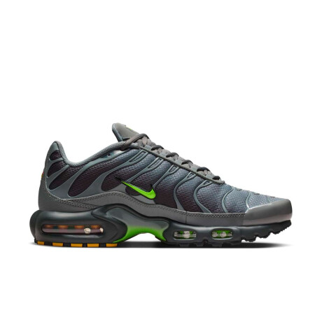 Championes Nike Air Max Plus de Hombre Gris